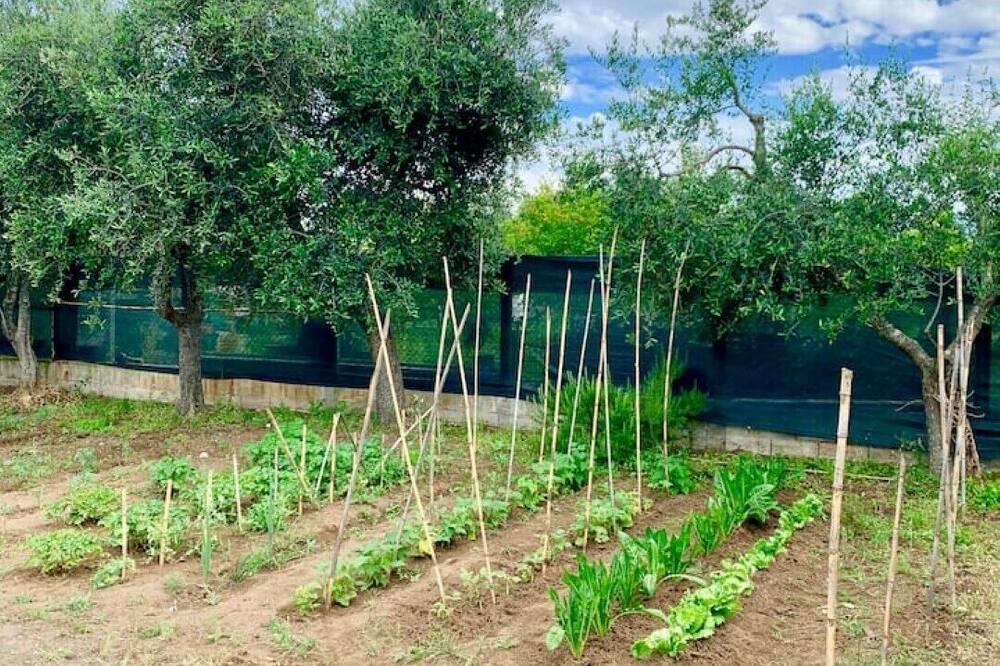 Photo of Outdoor in Cagnano Varano