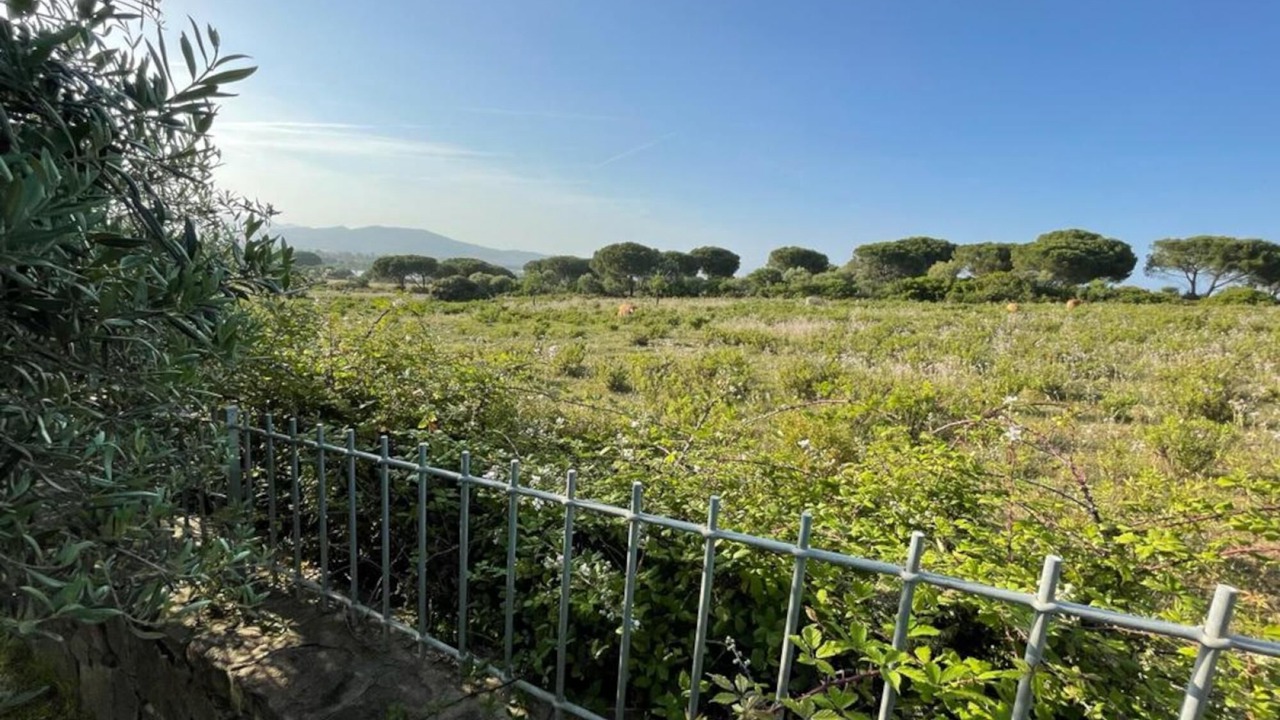 Photo of Others in Tanaunella