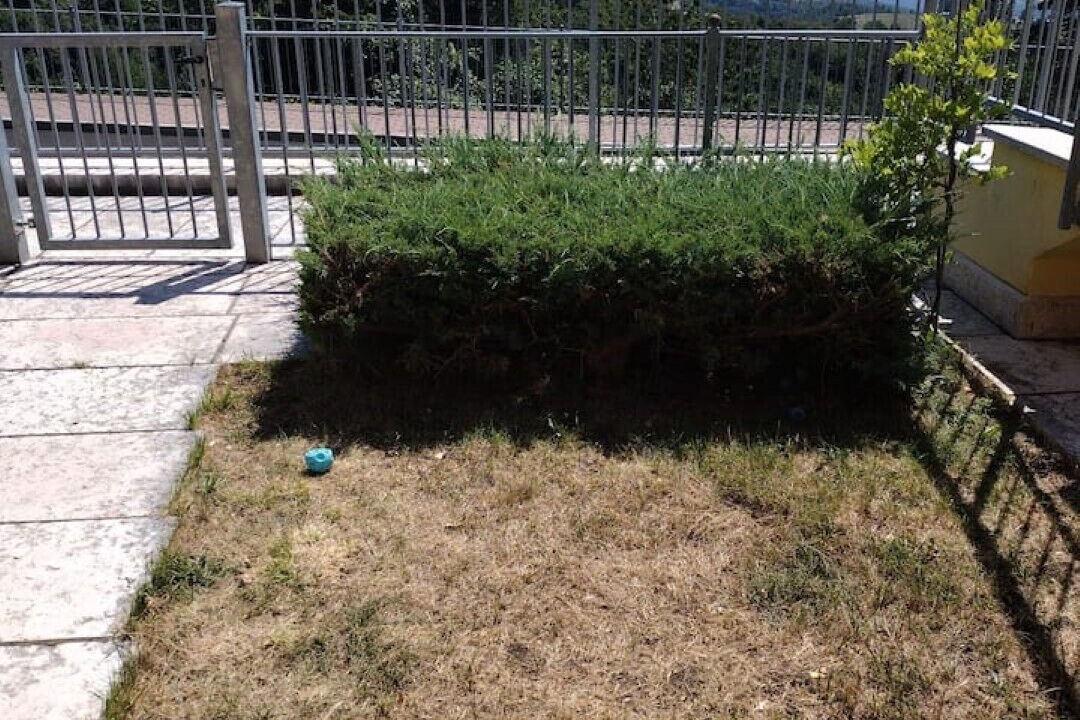 Photo of Outdoor in Erbezzo