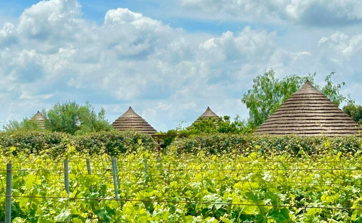 Photo of Outdoor in San Vero Milis