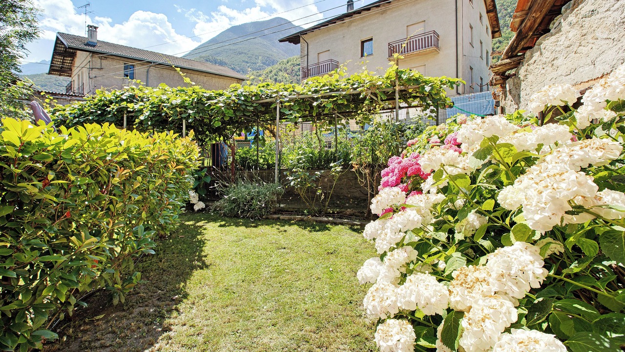 Photo of Outdoor in Cors