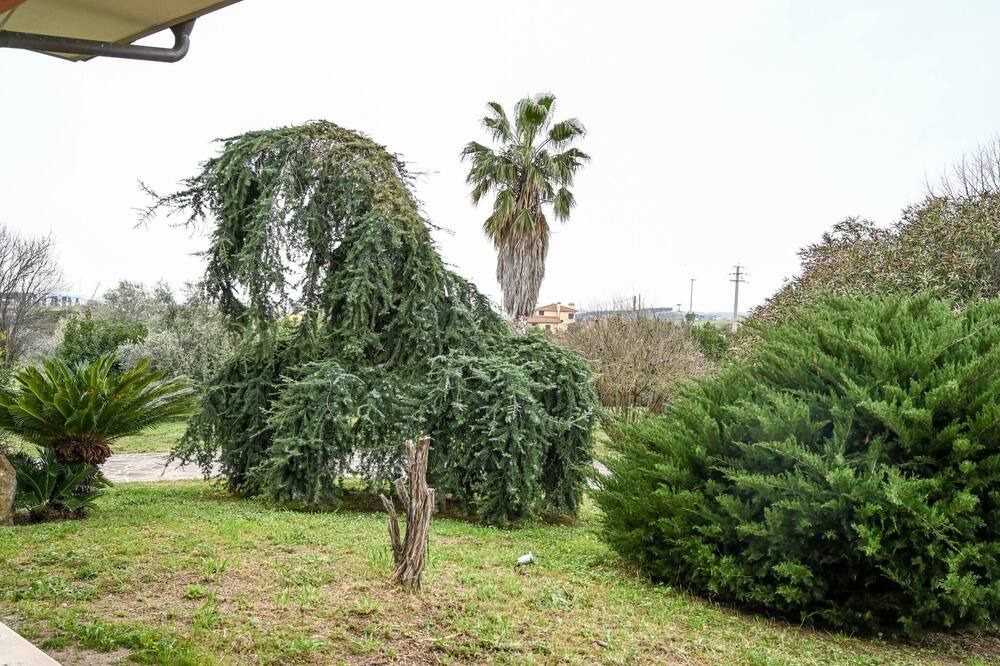 Photo of Outdoor in Fiano Romano