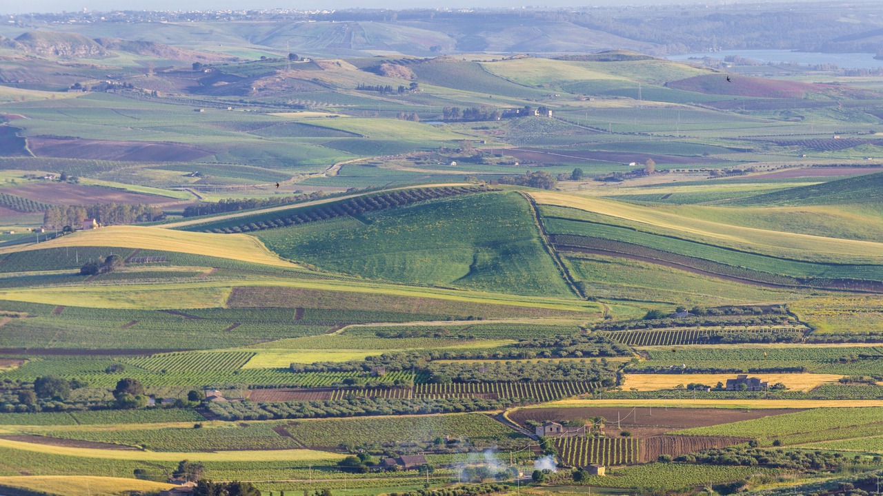 Photo of Outdoor in Salemi