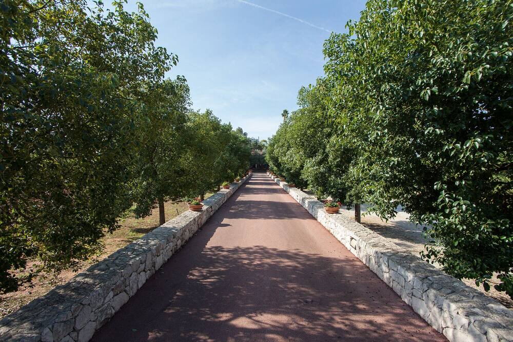 Photo of Outdoor in Galatina
