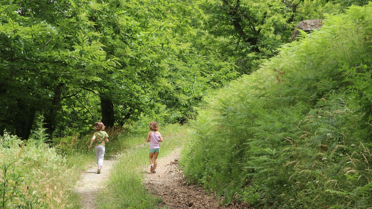 Photo of Outdoor in Castel del Rio