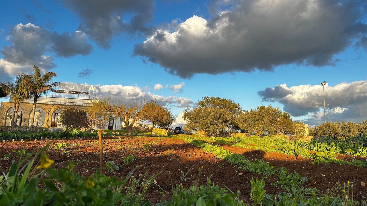 Photo of Outdoor in Sternatia