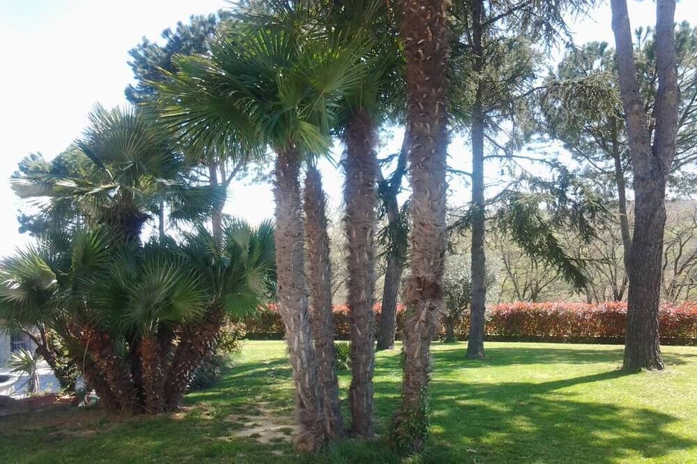 Photo of Outdoor in Colbuccaro