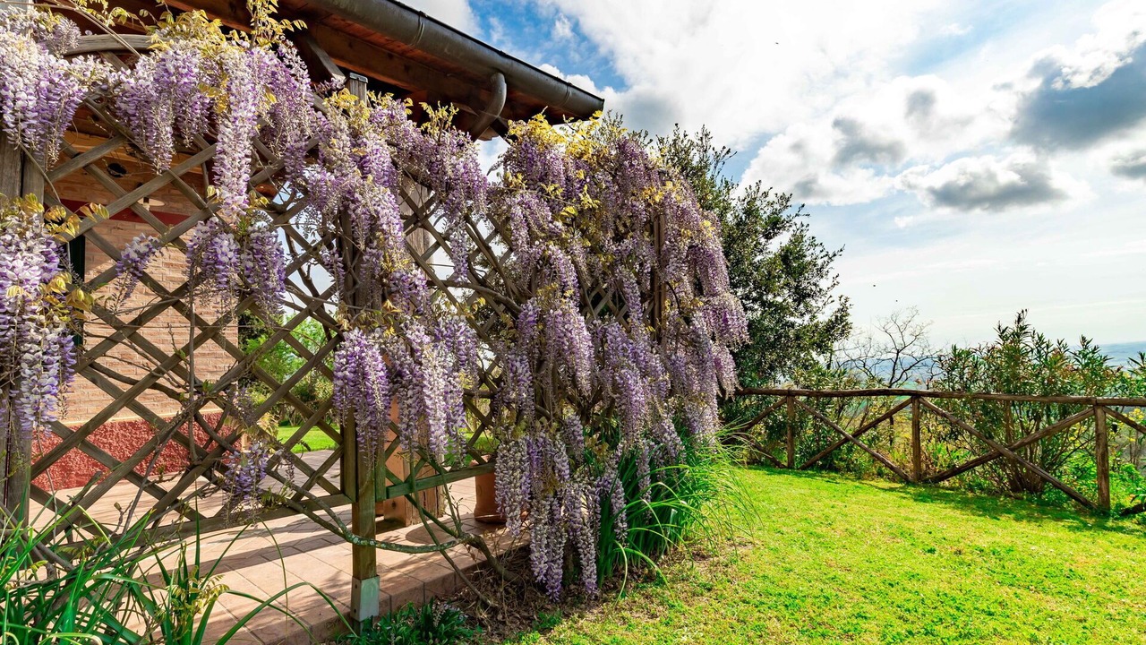 Photo of Outdoor in Mombaroccio