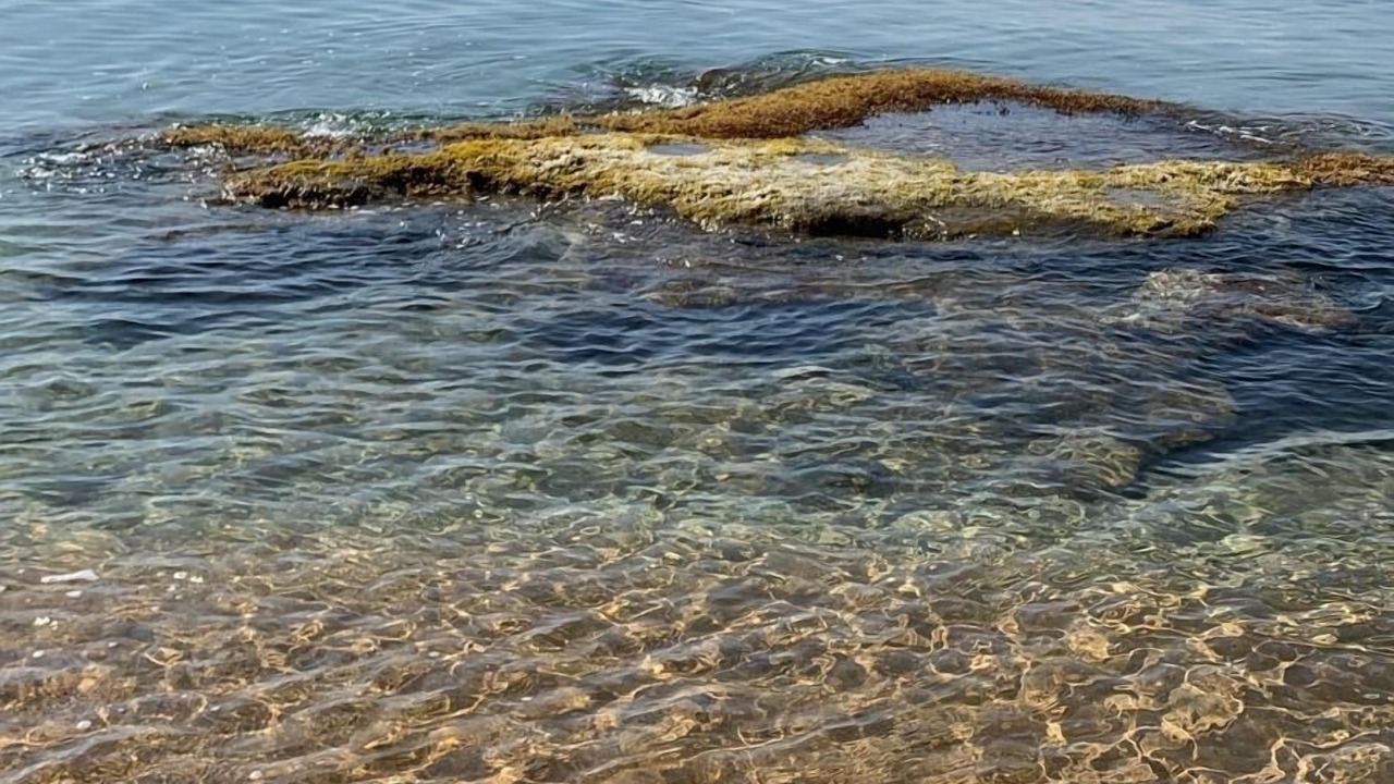 Photo of Others in Isola di Capo Rizzuto