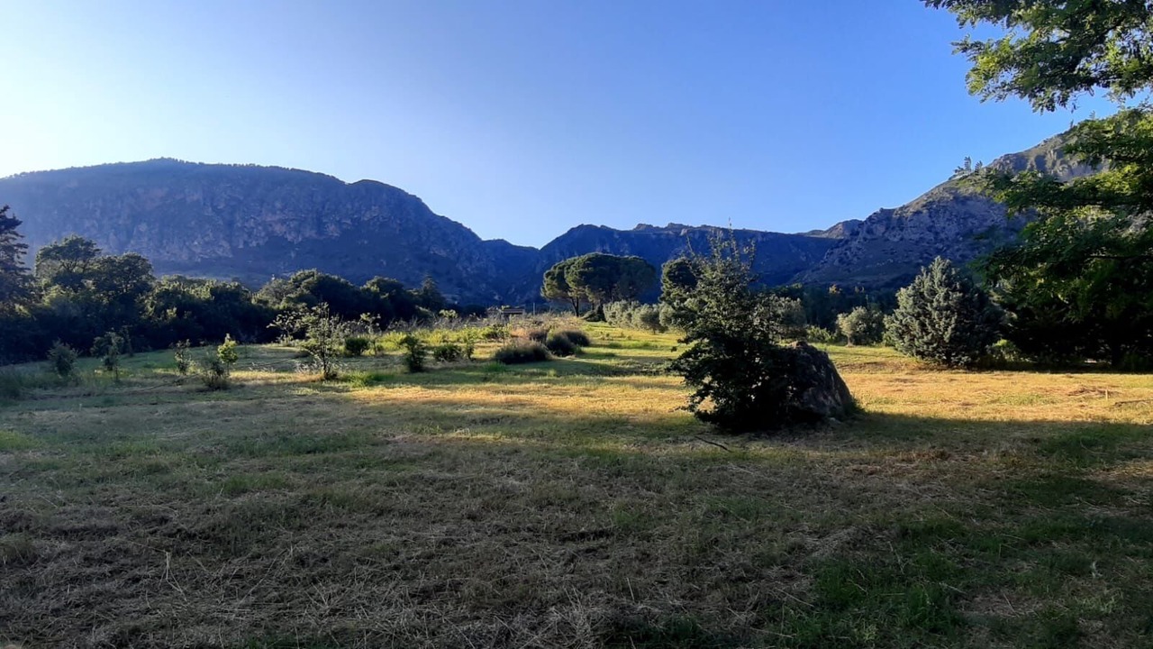 Photo of Outdoor in Monreale