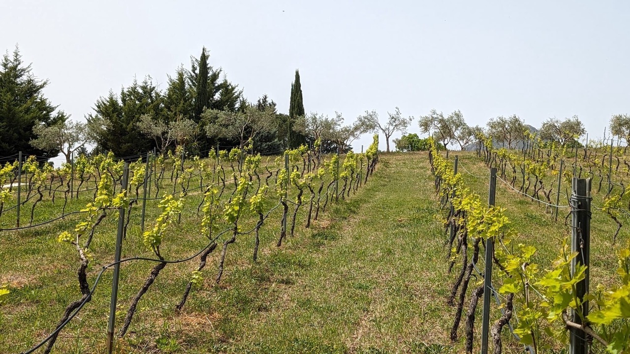 Photo of Outdoor in Monreale