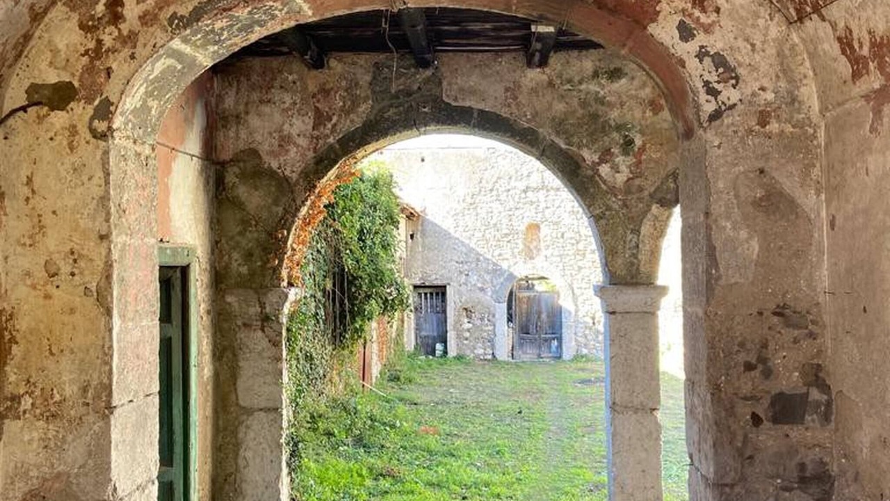 Photo of Outdoor in Montoro
