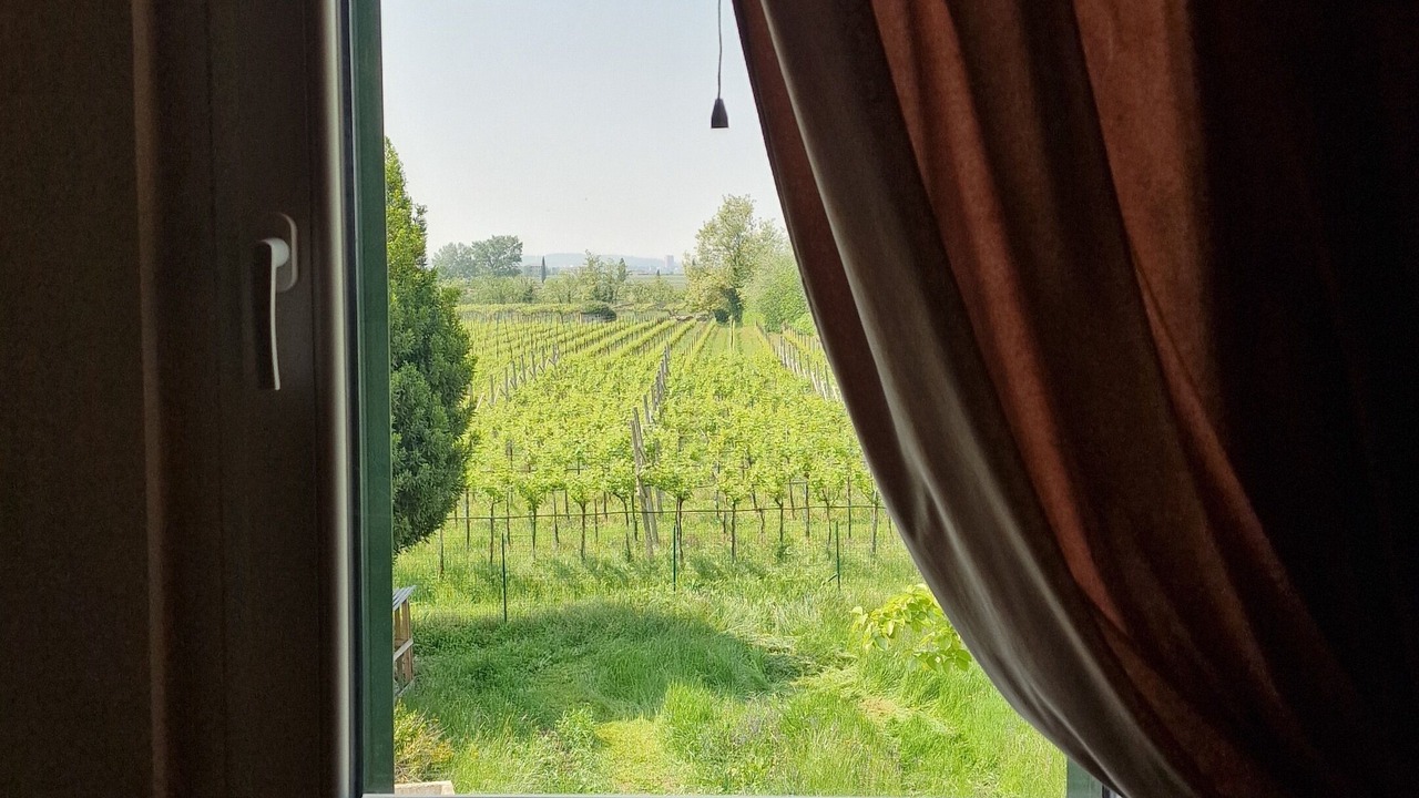 Photo of Bedroom in San Pietro in Cariano