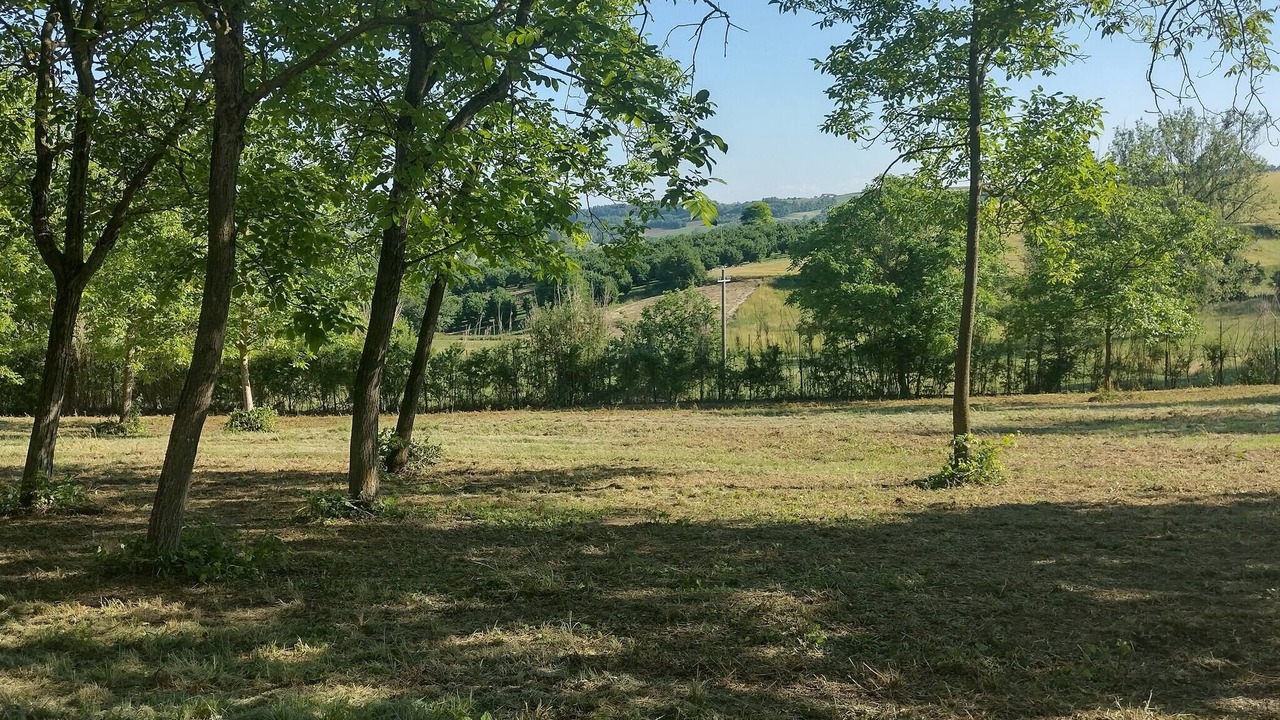 Photo of Outdoor in Castelletto Merli
