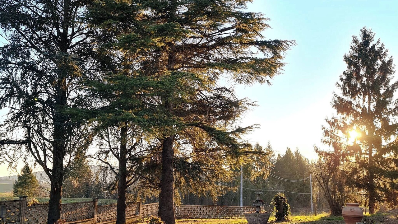 Photo of Outdoor in Castelletto Merli