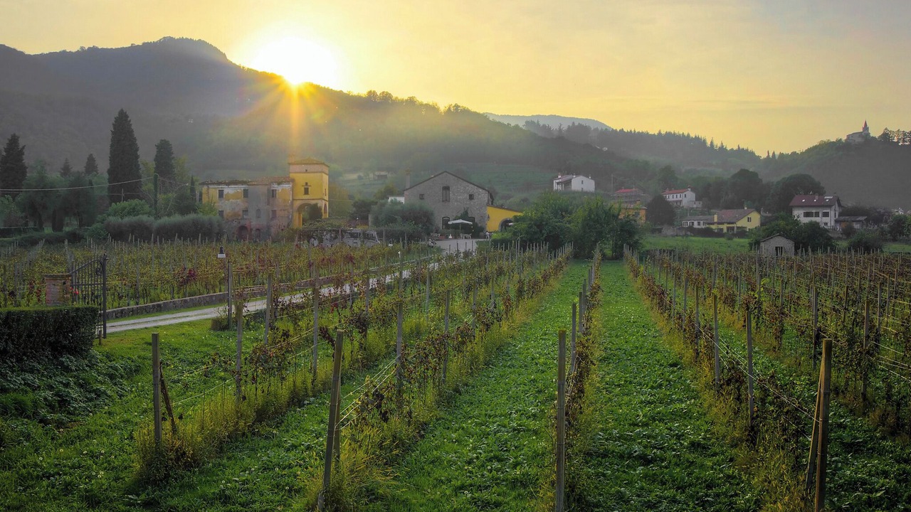 Photo of Outdoor in Crespino