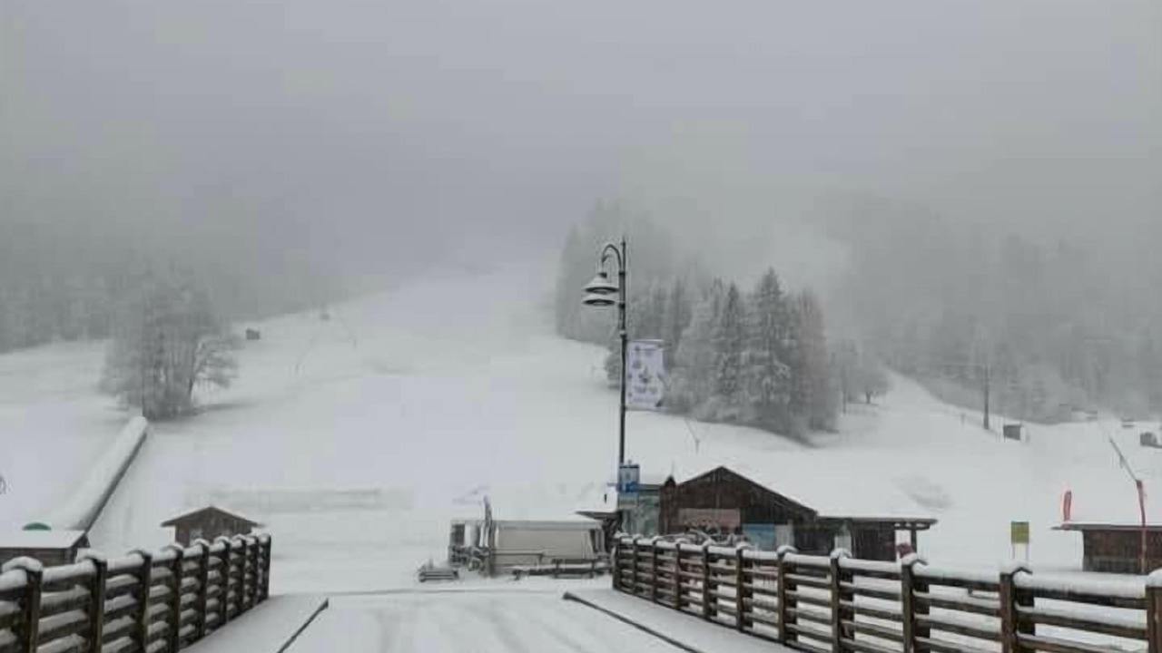 Photo of Outdoor in Forni di Sopra