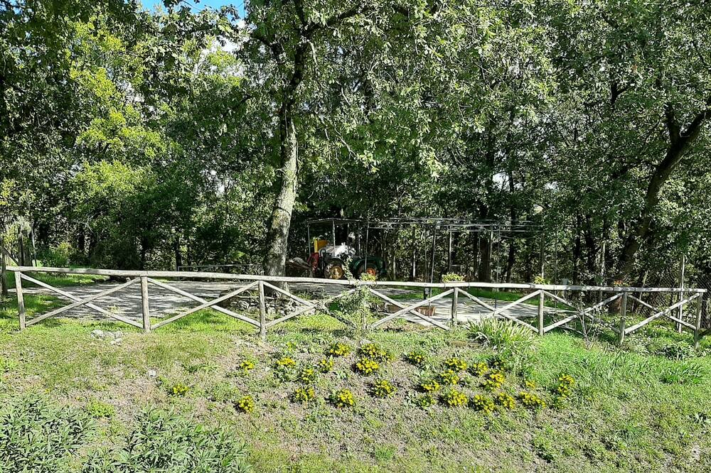 Photo of Outdoor in Penna in Teverina
