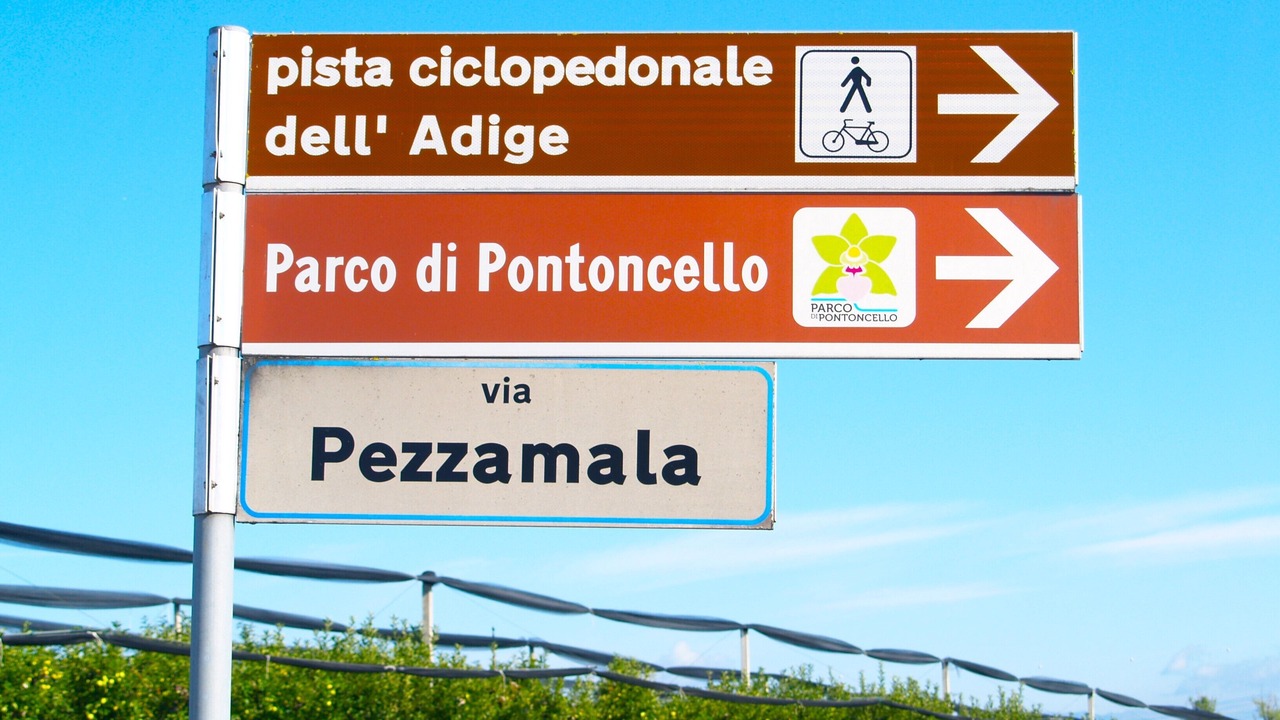 Photo of Others in Ronco all'Adige