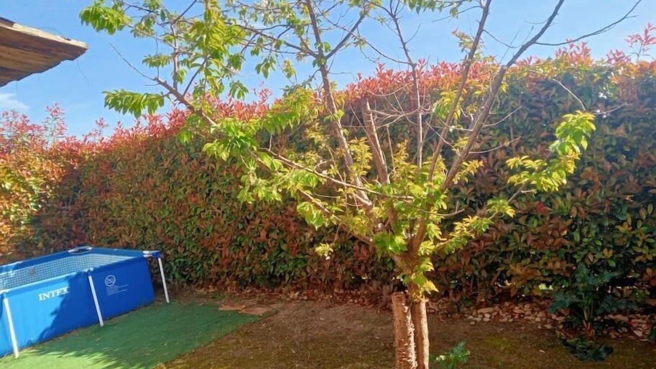 Photo of Patio Balcony in Fratta Todina