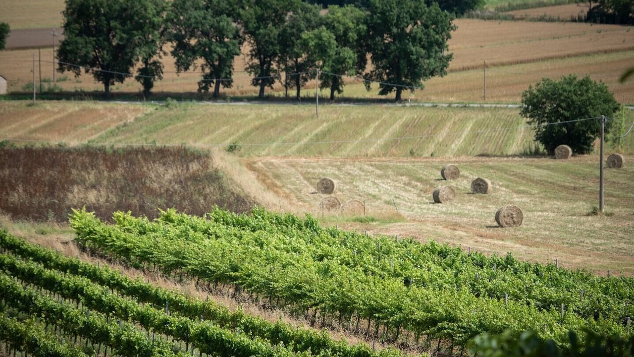 Photo of Outdoor in Marsciano