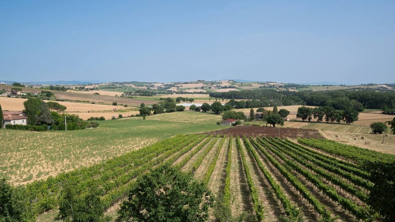 Photo of Outdoor in Marsciano