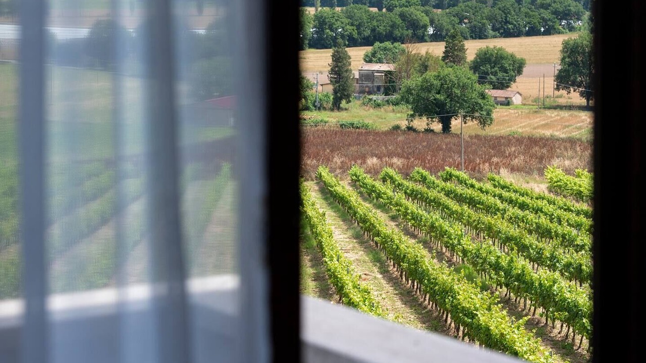 Photo of Others in Marsciano