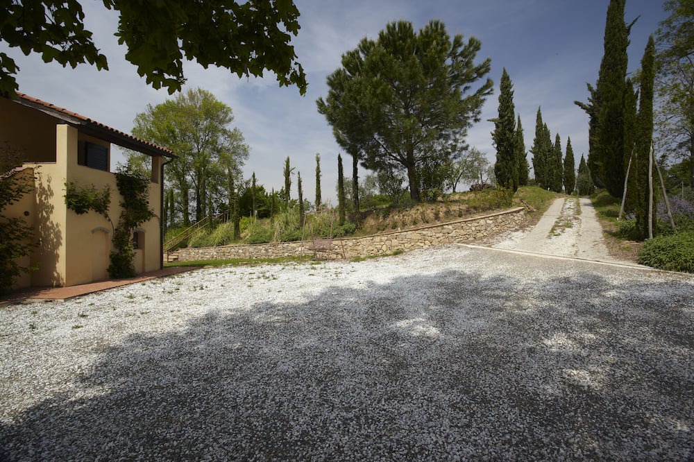 Photo of Outdoor in Palaia