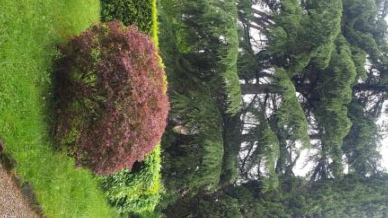 Photo of Outdoor in Gorizia