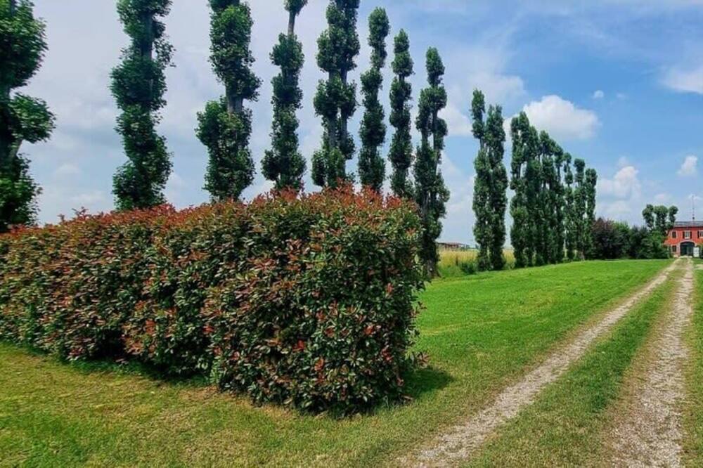 Photo of Outdoor in San Faustino-Madonnina-Quattroville