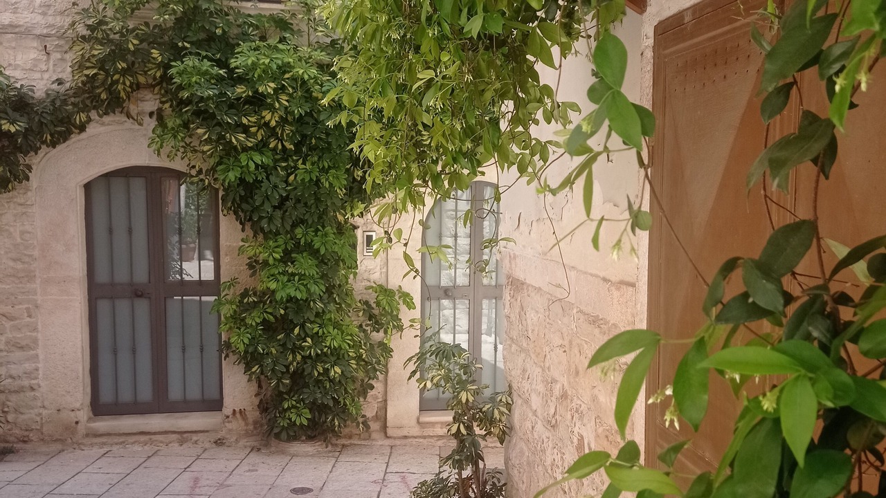 Photo of Patio Balcony in Palo del Colle