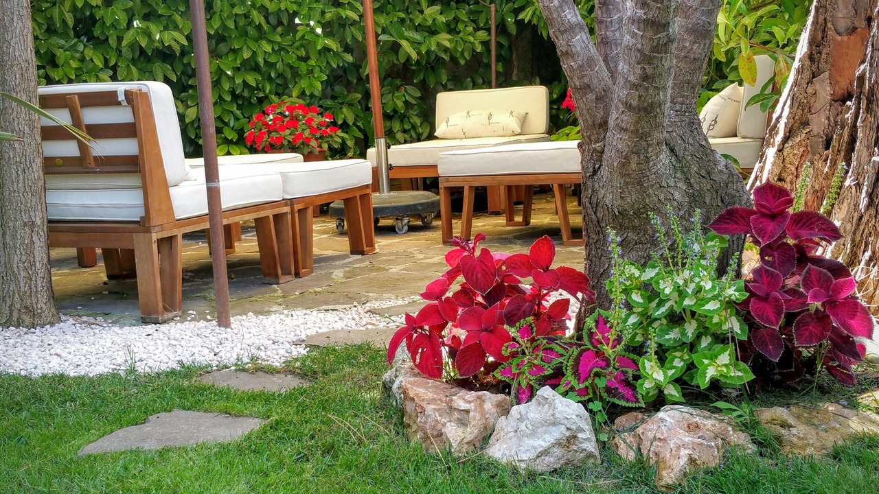 Photo of Outdoor in Latina Lido