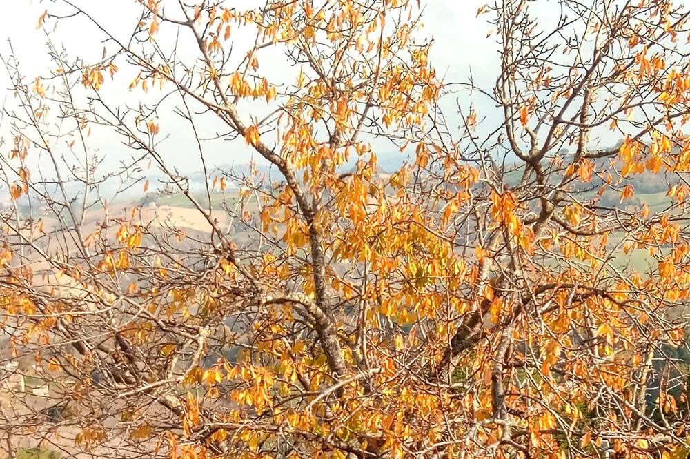 Photo of Outdoor in Servigliano