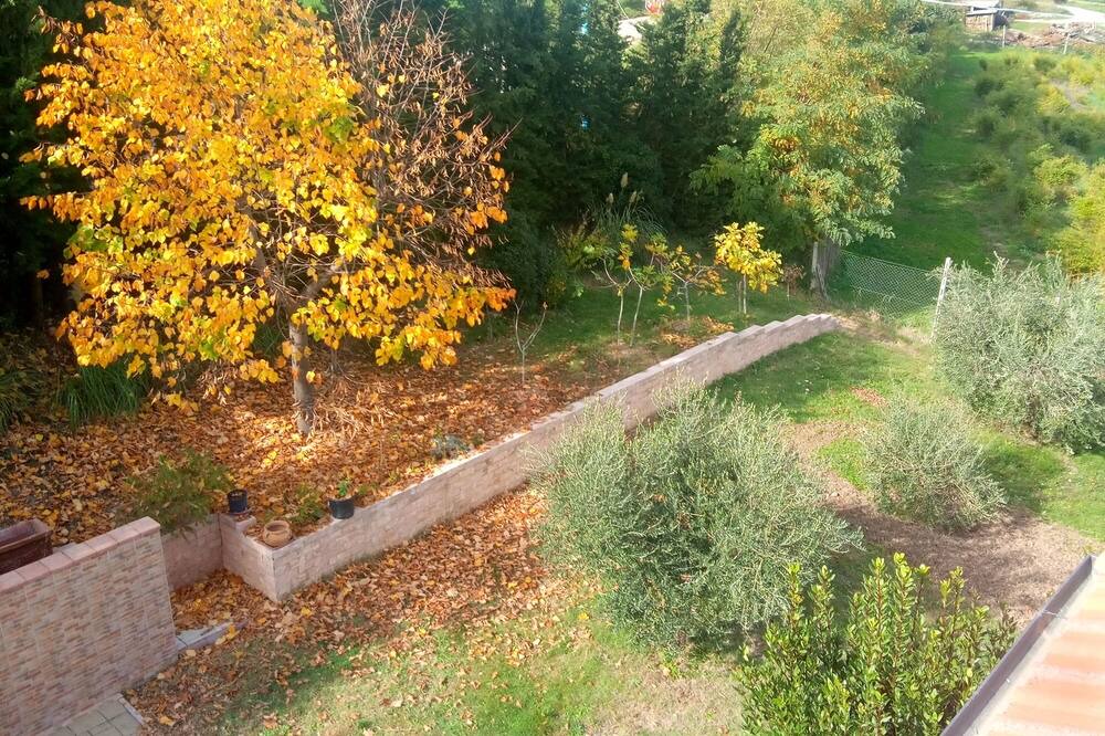 Photo of Outdoor in Servigliano