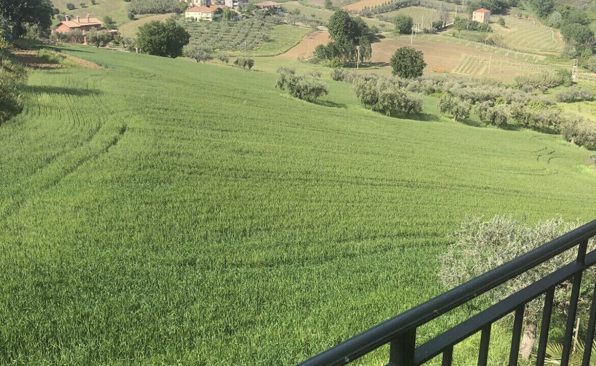 Photo of Outdoor in Mosciano Sant'Angelo