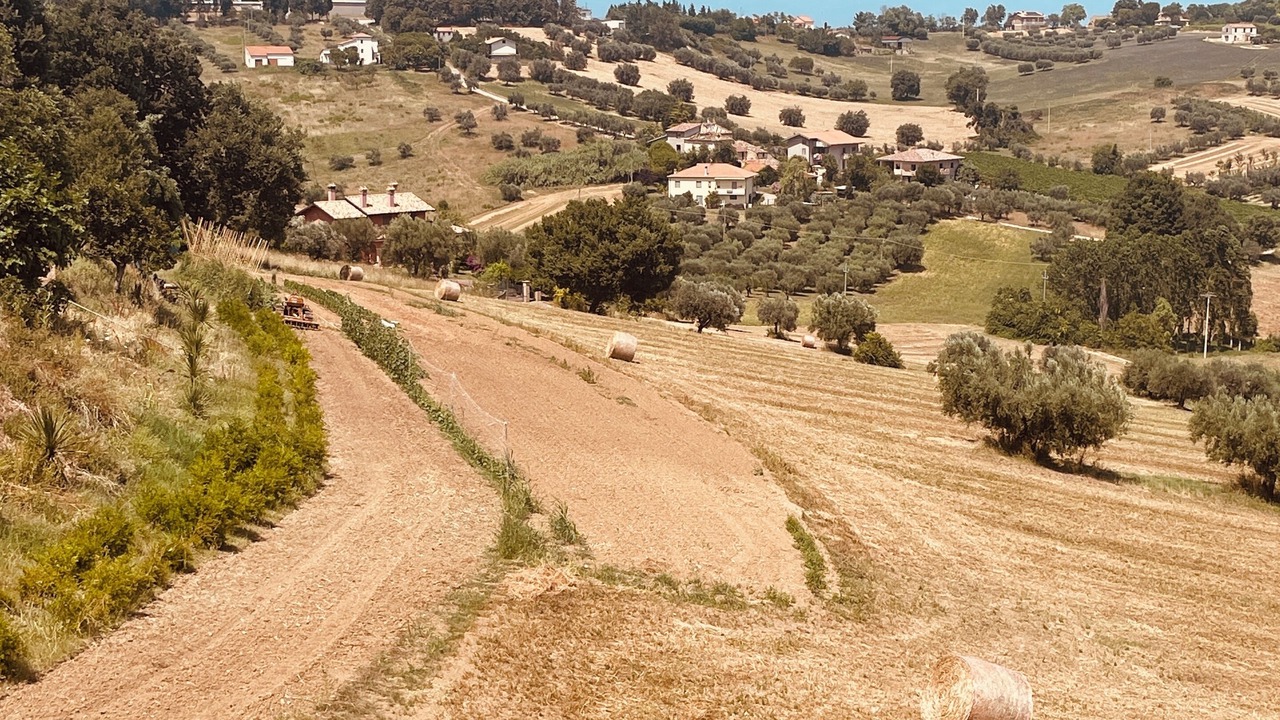 Photo of Outdoor in Mosciano Sant'Angelo