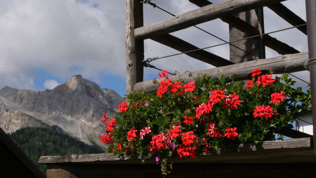 Photo of Patio Balcony in Sauris di Sotto