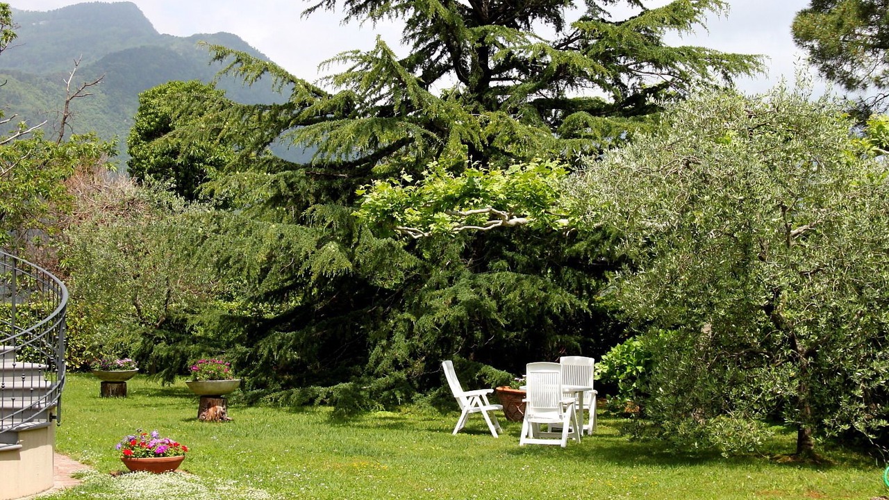 Photo of Outdoor in San Carlo Terme
