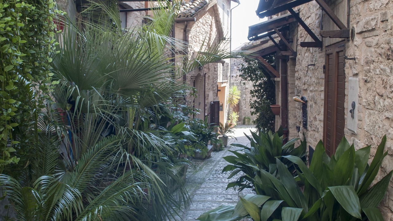 Photo of Bedroom in Spello
