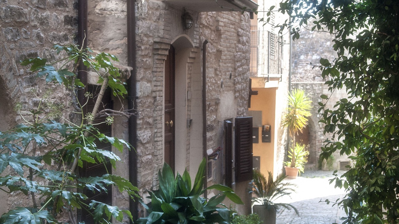 Photo of Others in Spello
