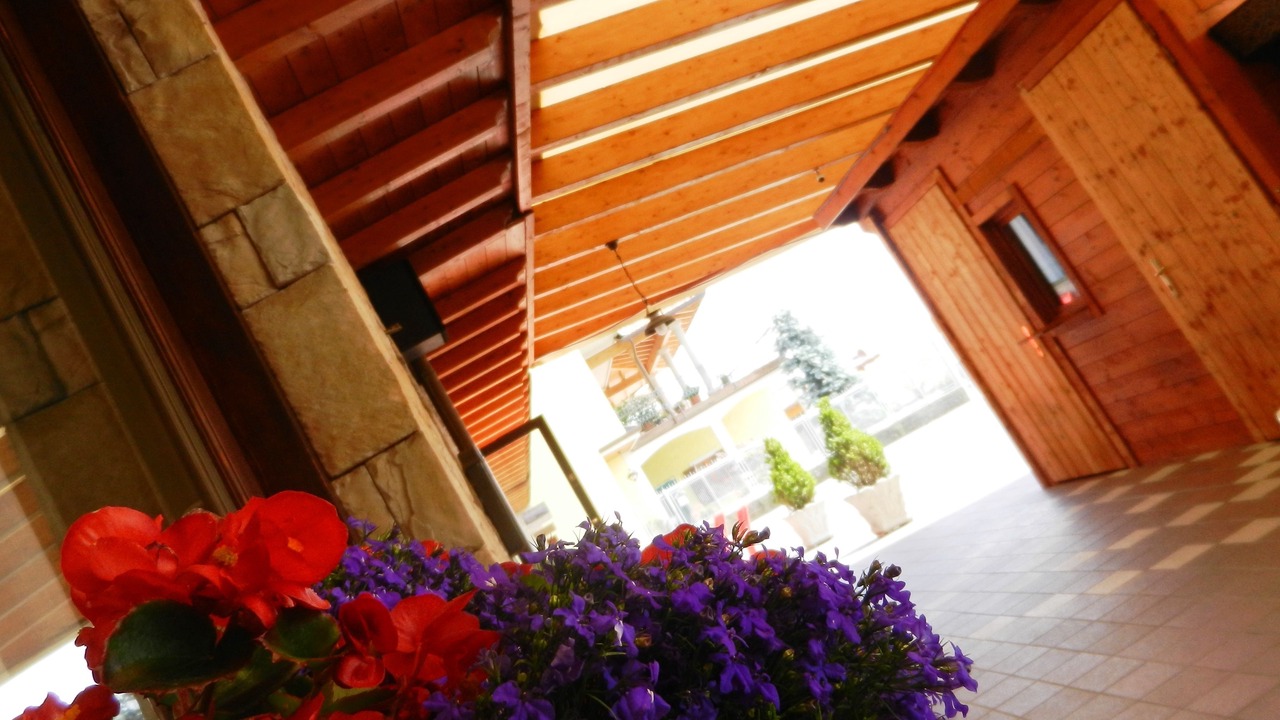 Photo of Patio Balcony in Bossico