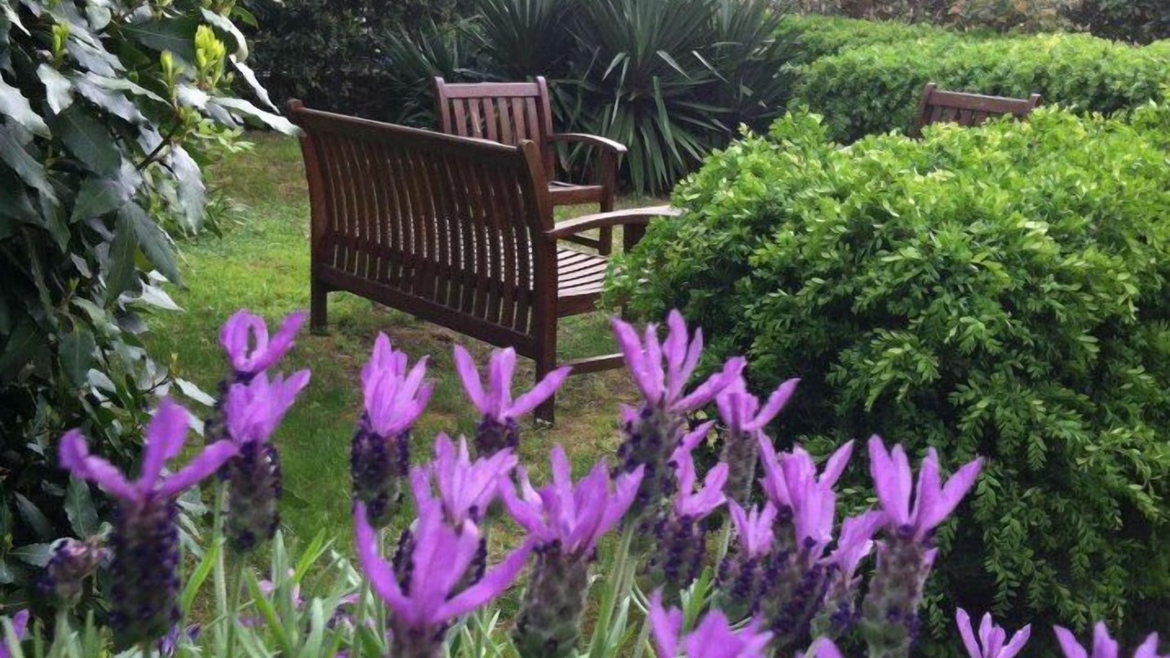 Photo of Outdoor in Gambassi Terme