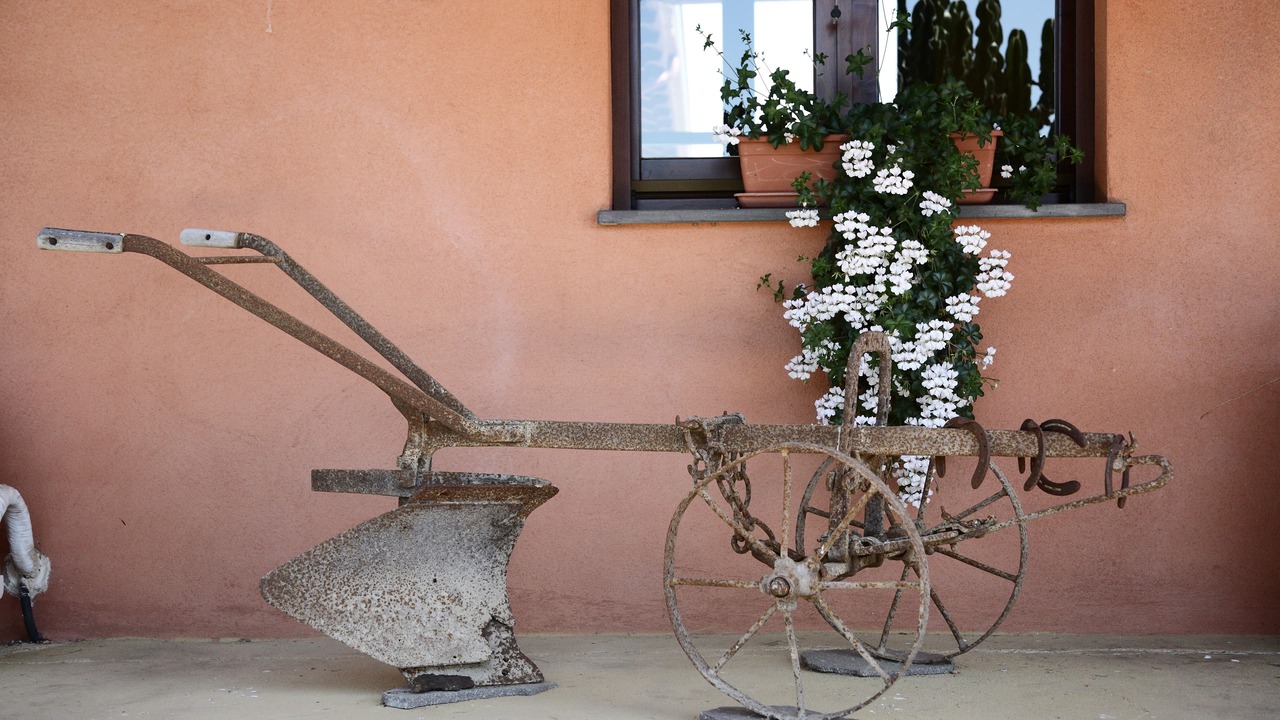 Photo of Outdoor in Oristano