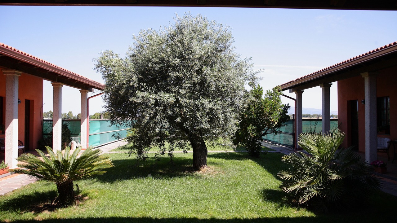 Photo of Outdoor in Oristano