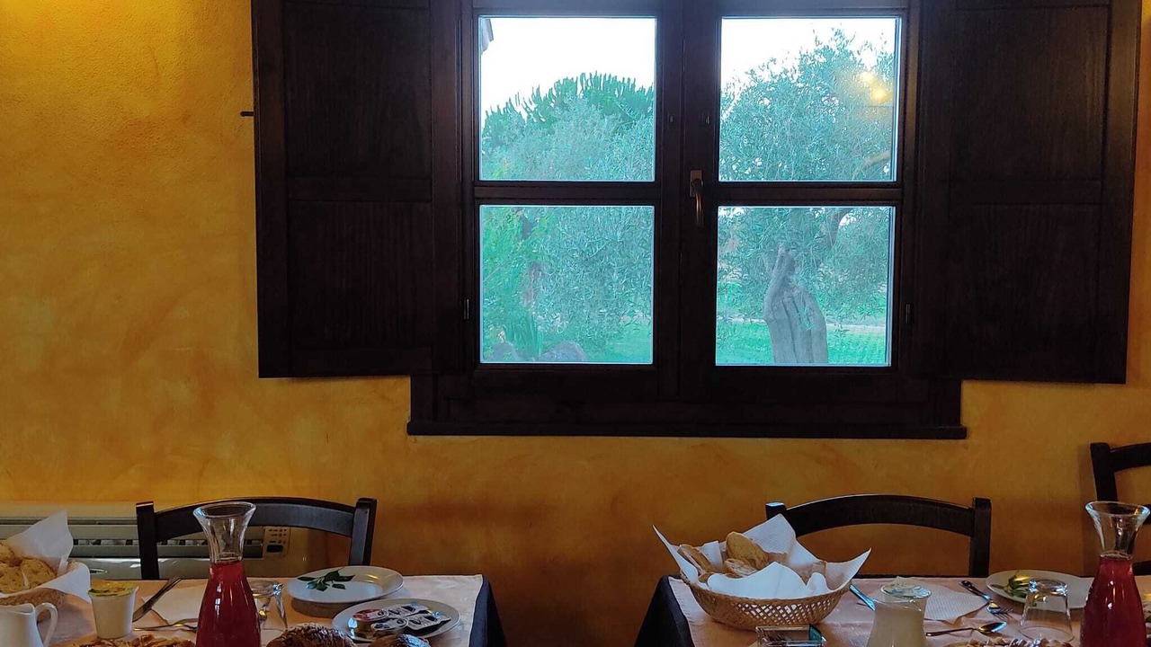 Photo of Others in Oristano