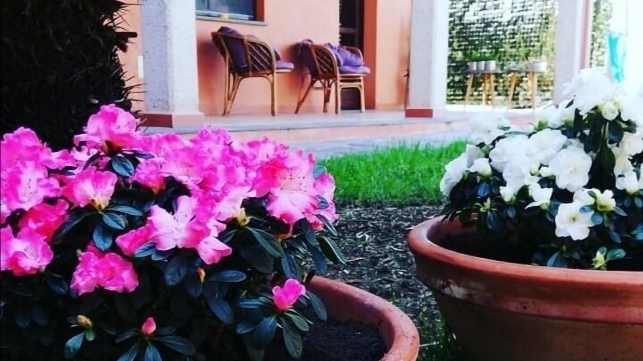 Photo of Outdoor in Oristano
