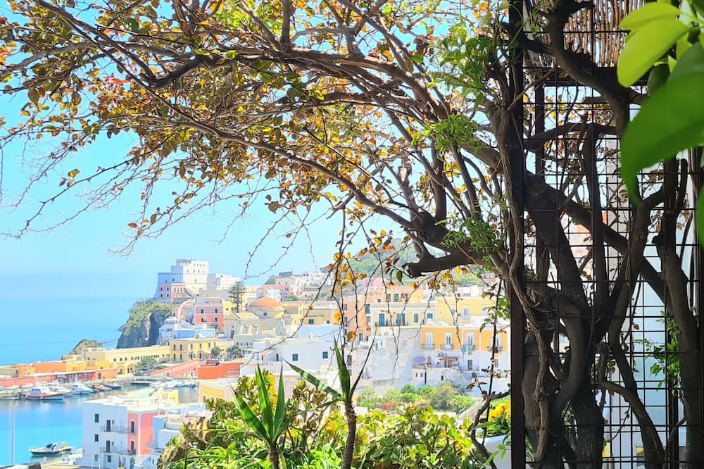 Photo of Others in Ponza