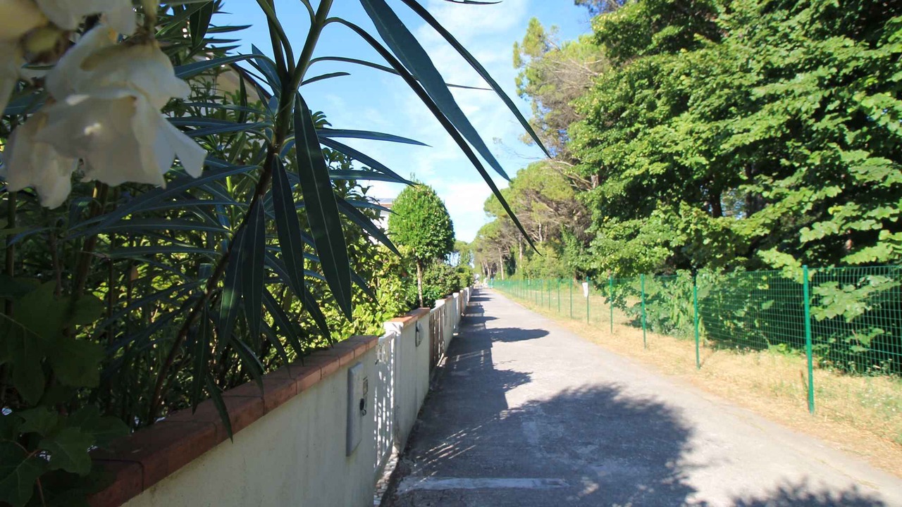 Photo of Others in Eraclea Mare
