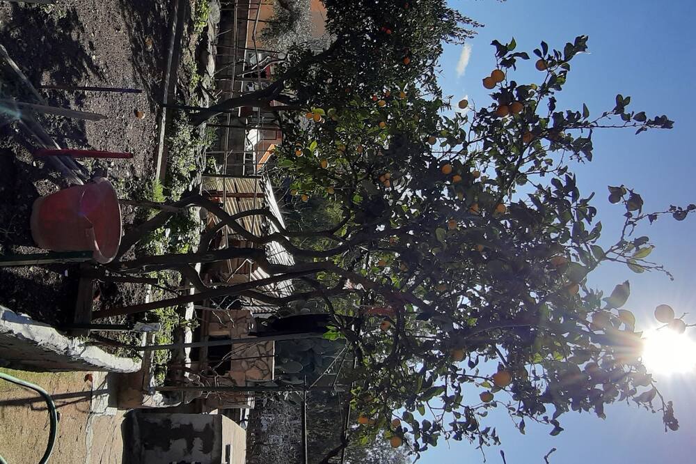 Photo of Outdoor in Badualga