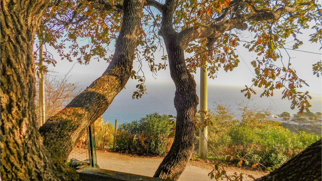 Photo of Outdoor in Copanello